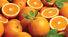 Navel and Valencia oranges